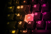 Steelseries Apex 3 TKL Gaming Keyboard (US) (PC)