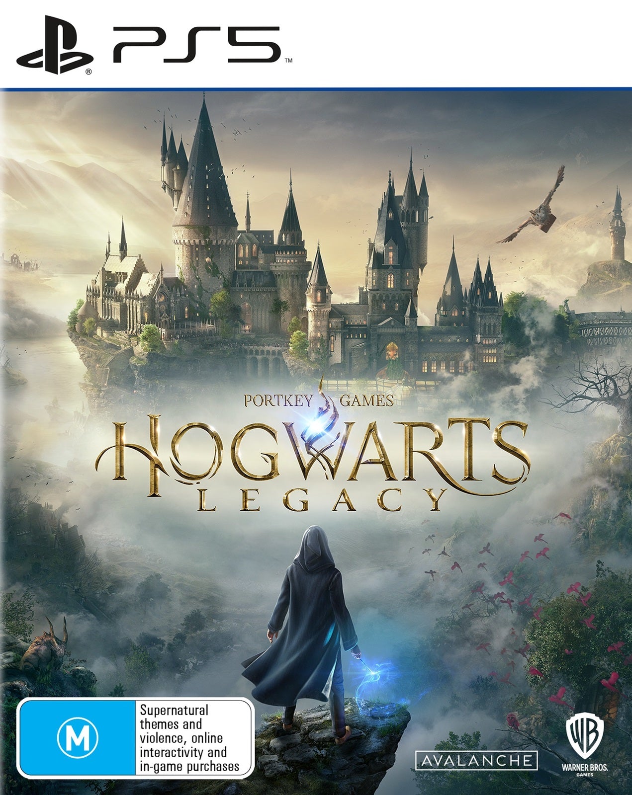 Hogwarts Legacy (PS5)