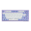 Hexgears M2 TKL Linear Switch Mechanical Keyboard - Purple Rain
