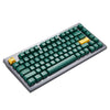Hexgears Synergy Z2 75% RGB TKL Wireless Mechanical Thock Keyboard - Dark Green