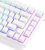 Akko TAC75 HE White 75% Magnetic AstroAim Wired Mechanical Keyboard