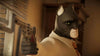 Blacksad: Under the Skin (PS5)