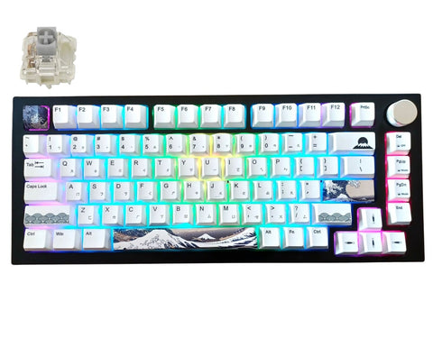 KBParadise Black V75 Gateron G Pro Silver Great Wave 75% Hot Swappable Mechanical Wired Keyboard