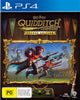 Harry Potter Quidditch Champions Deluxe Edition (PS4)