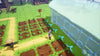 Rune Factory: Guardians of Azuma (Switch)