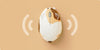Akko Calico Cat Theme Wireless Mouse