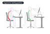 Kogan Height Adjustable Ergonomic Laptop and Monitor Stand