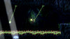 Shadow Labyrinth (Switch)