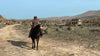 Red Dead Redemption (code in box) (Switch)