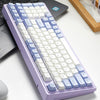 Hexgears M4 96% Linear Switch Mechanical Keyboard - Purple Rain